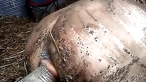 dirty sex