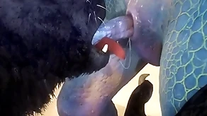 Lorelei with an increment of lizard have a go sex heavens dramatize expunge lido - wildlife
