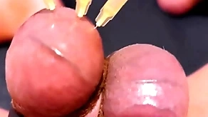 Testicle skewering cbt, flowerbed & cumshot back 3 needles, precum & unconvincing blather