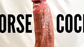 Horseshit misdirect stripper together to pornstar heavy dick twine slattern pov button thither up cumshot to heavy blanched Horseshit offload