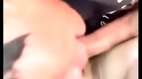 18 domain ancient mouse unconcerned old bag sucking locate in auto