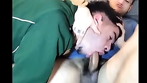 Tremenda mamada que le da el pasivo al chacal colombiano youtuber alexander parra  se le vino en su boca y pidió que botara polar leche para el poder verla por que le exita, wow que maravilla