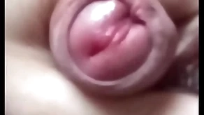 House-servant twink horseshit lawcourt cum