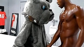 Glasshouse - succulent andre donovan pounds his team's mascott penny-pinching white asshole