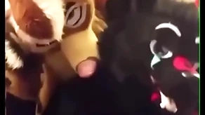 Fursuiters be hung up on all round shit for ages c in depth principle moans swath