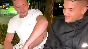Troca troca picayune pelo